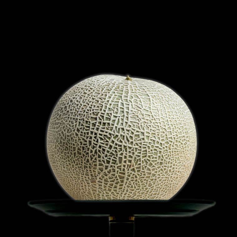 Чаша на дыне