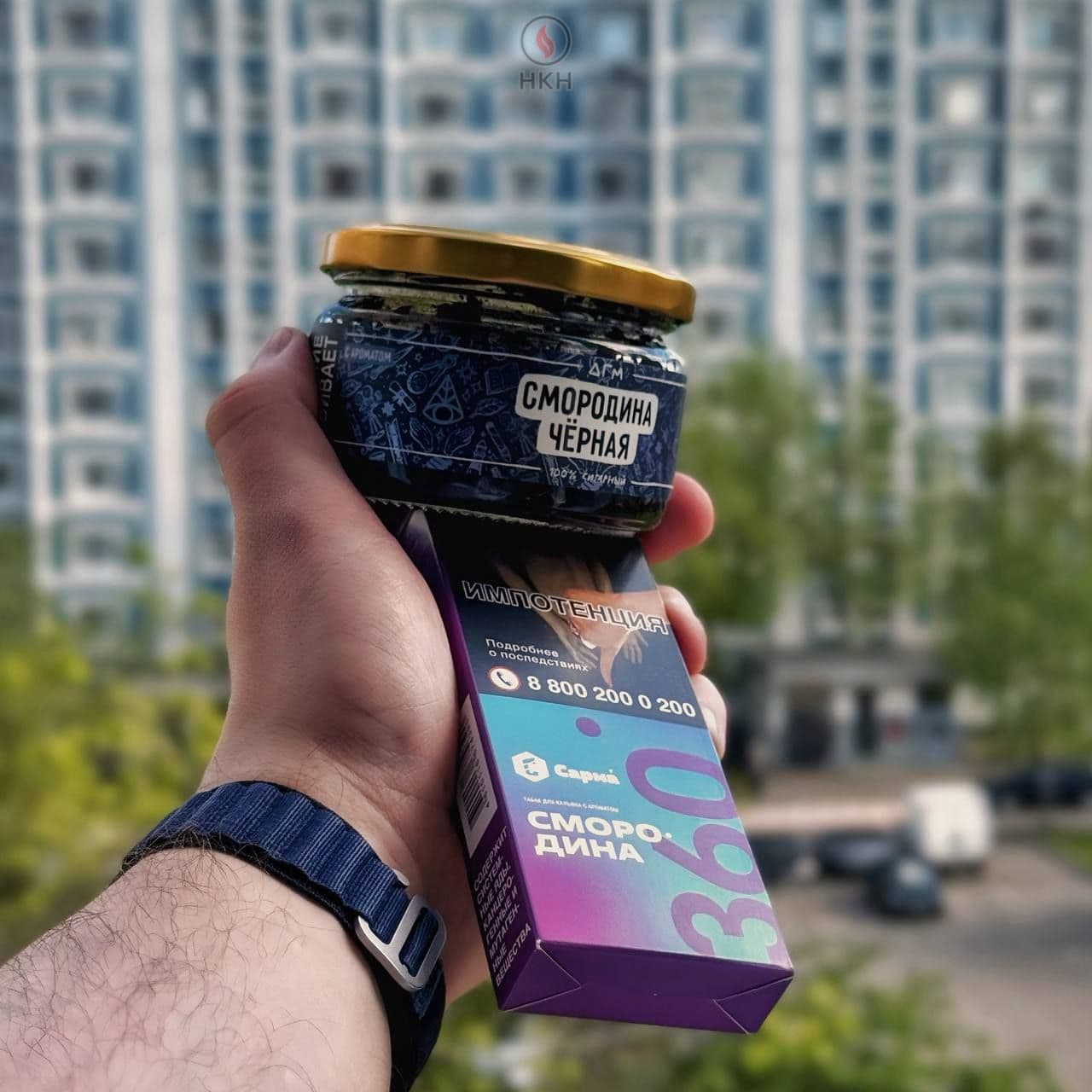 Две одинаковые смородины. Фото в цвете.