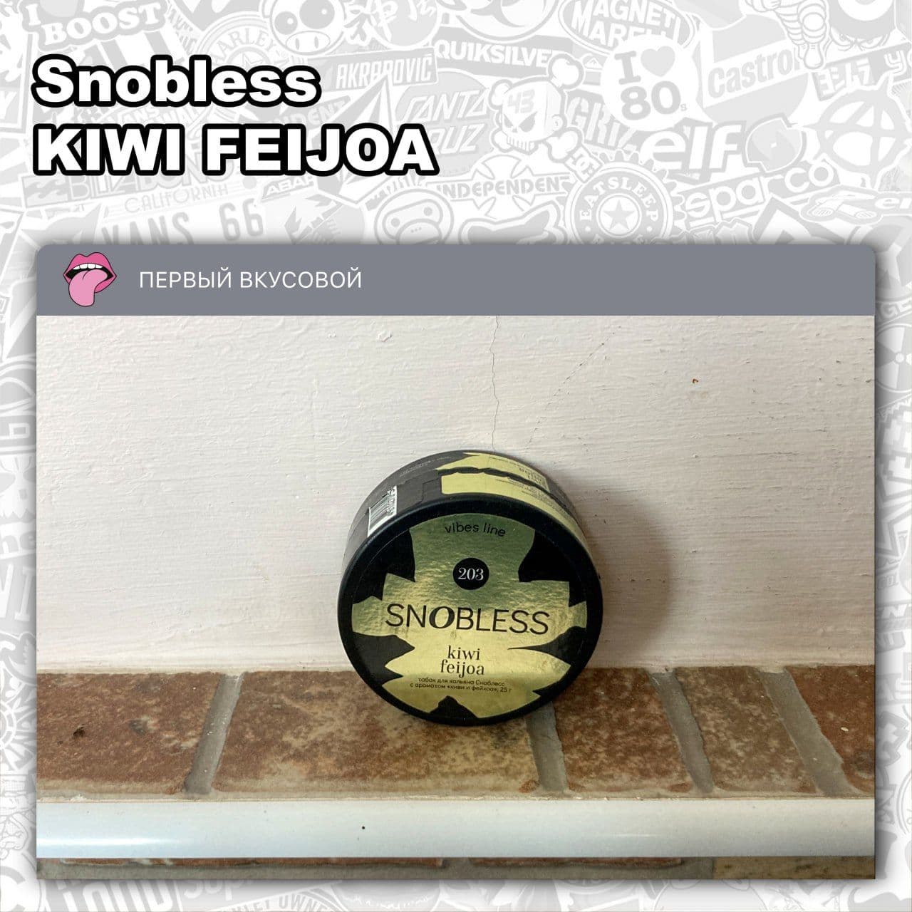 ТАБАК SNOBLESS VIBES LINE - KIWI FEIJOA