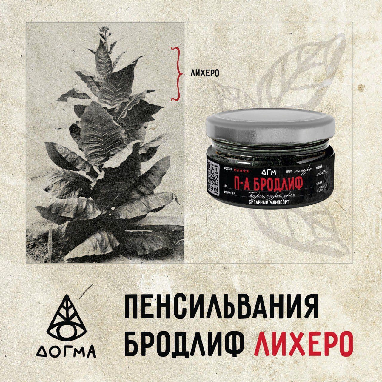 Две новости от компании Догма: