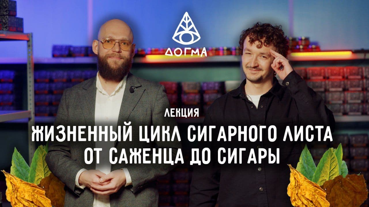 ЖИЗНЕННЫЙ ЦИКЛ СИГАРНОГО ЛИСТА