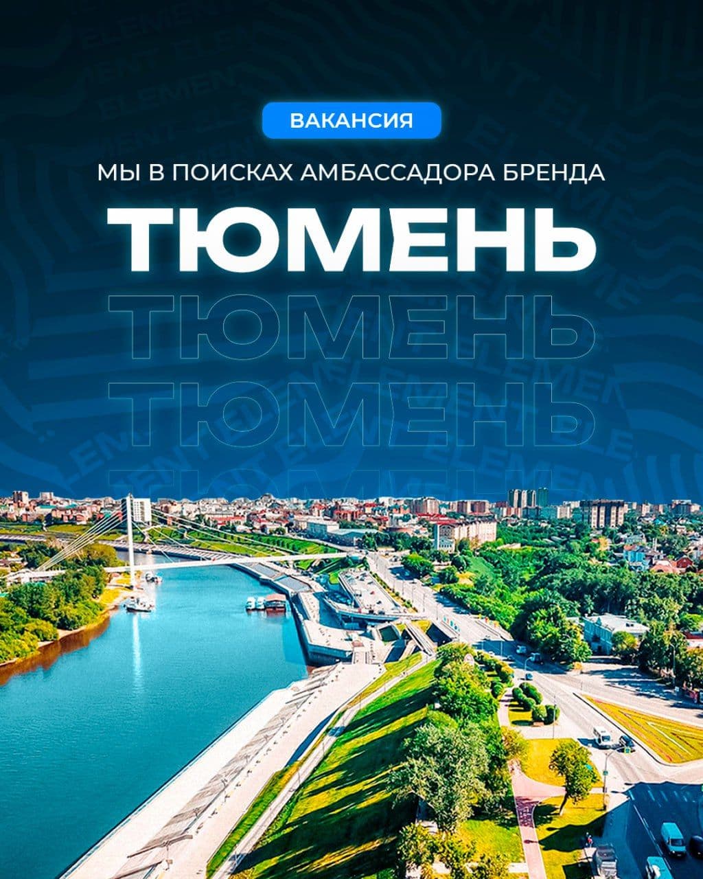 🔈 Тюмень, мы в поиске амбассадора Element!