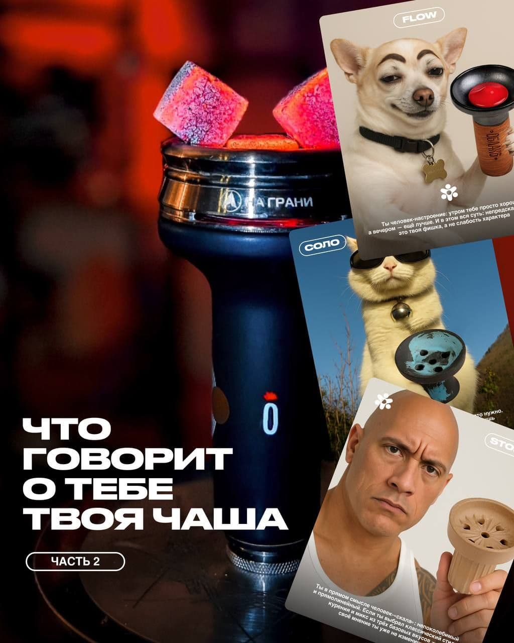 👋Прежде чем стать вечным Basic, все мы проходили путь Соло!