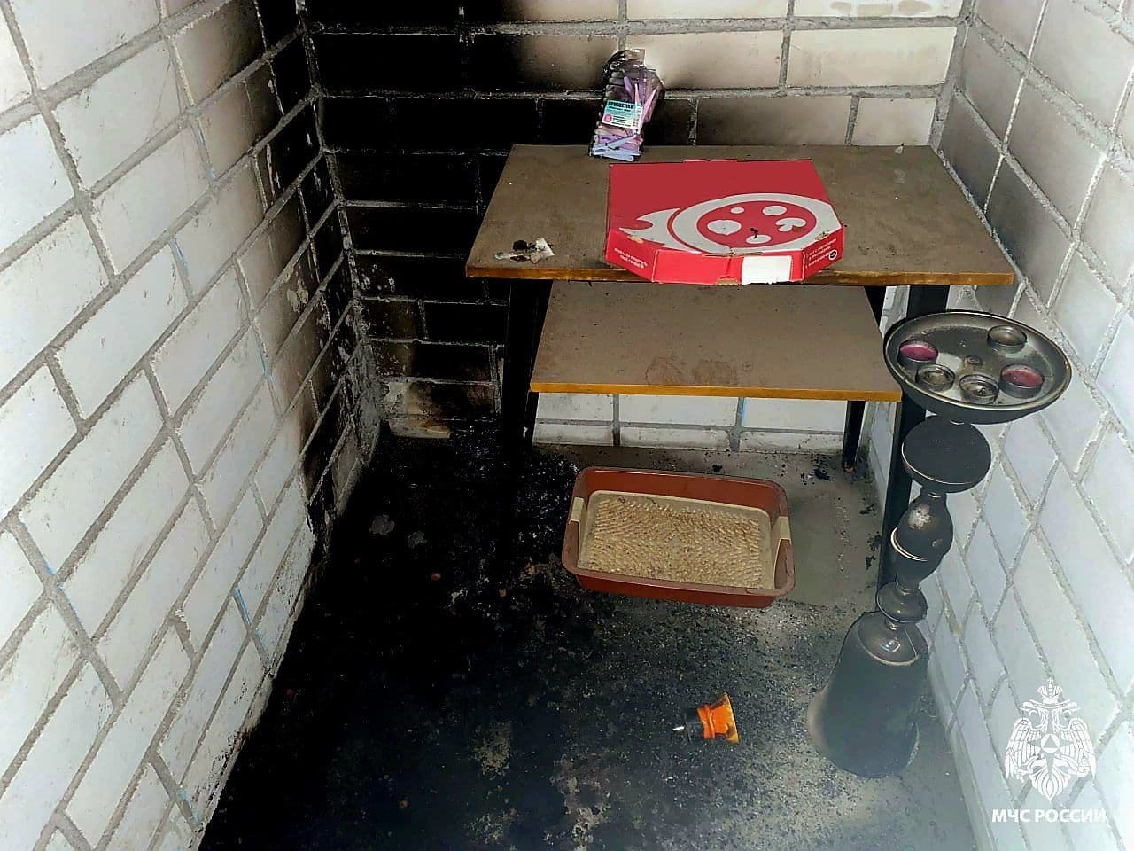 В ВОЛОГДЕ ПРИЧИНОЙ📣 ПОЖАРА НА БАЛКОНЕ СТАЛИ УГЛИ ДЛЯ КАЛЬЯНА
