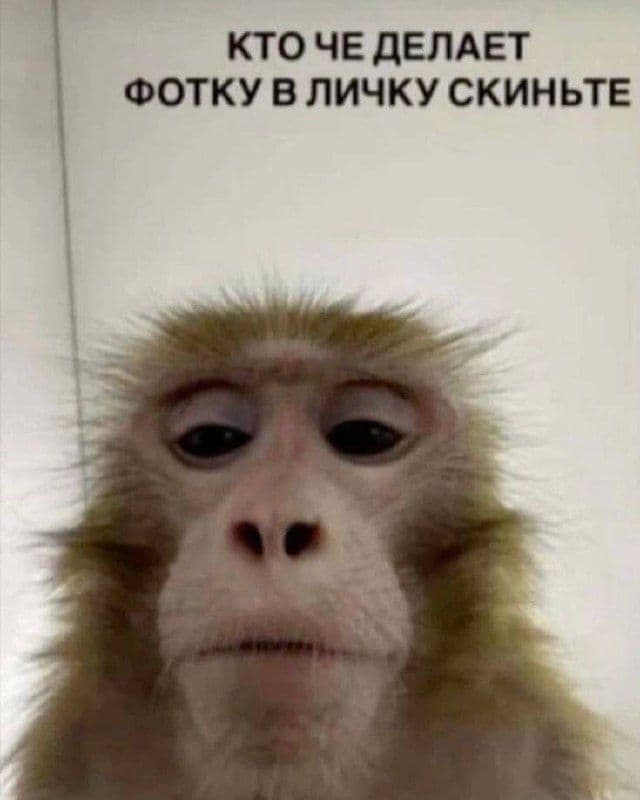 Админ на связи! У кого как дела?