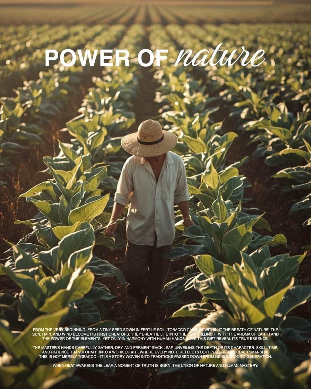Футболка «Power Of Nature»