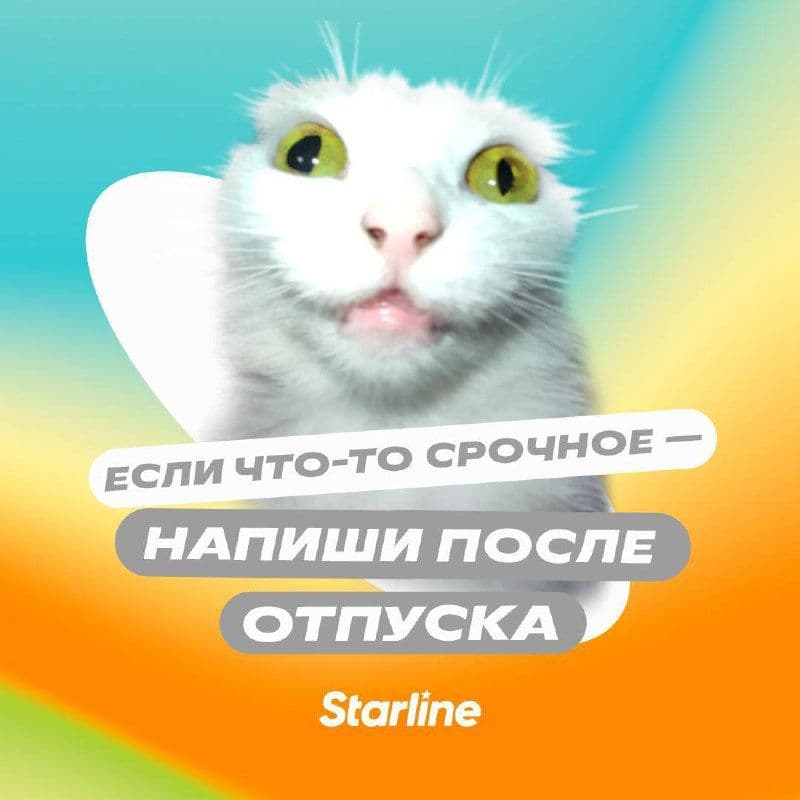 Экстренный дроп аватарок, если поставить рабочие чаты на mute не работает.