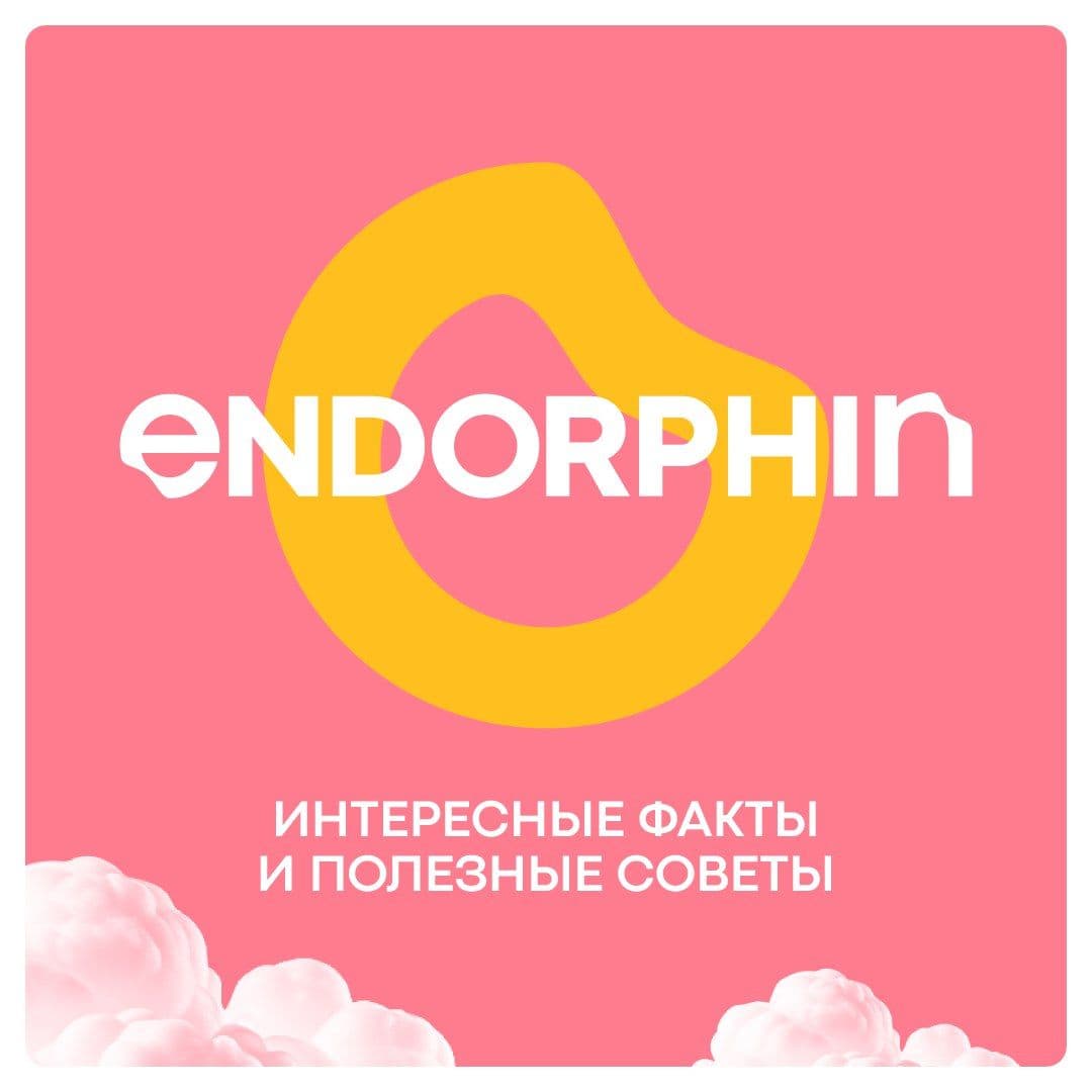 ENDORPHIN изначально задумывался как продукт, удобный в использовании не только для мастеров,