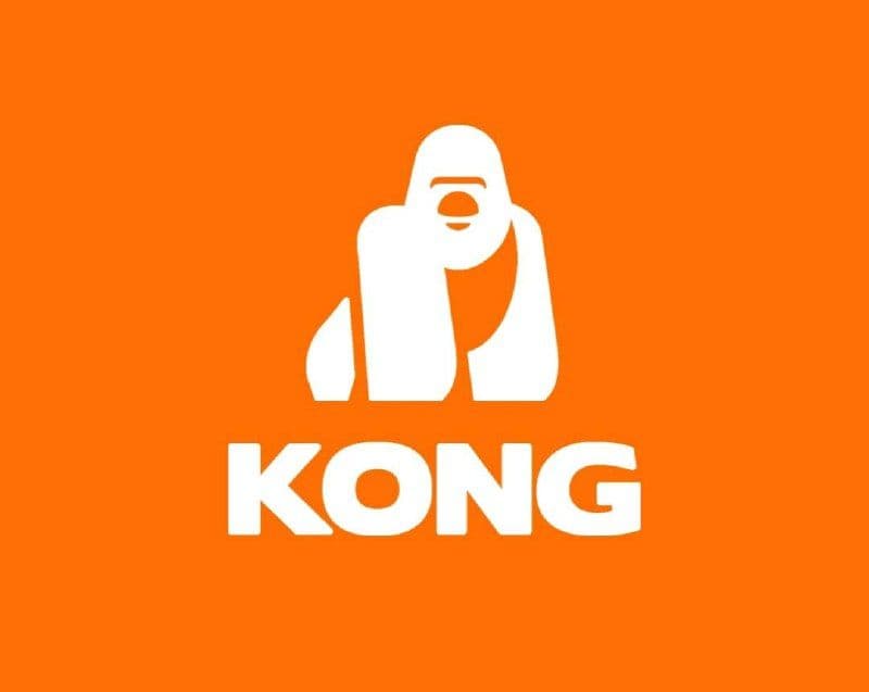 🧭🦍 KONG НАВИГАЦИЯ