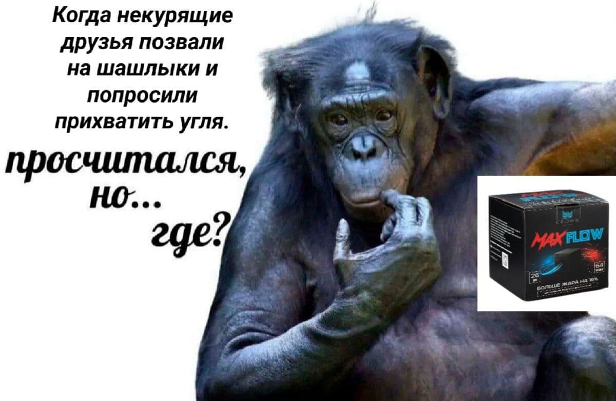 Не страшно, на этих тоже можно шашлыки пожарить 😂