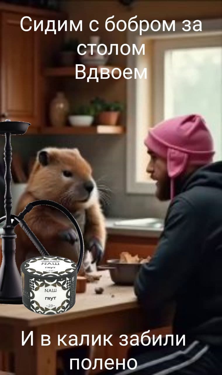 Проглючило походу😁