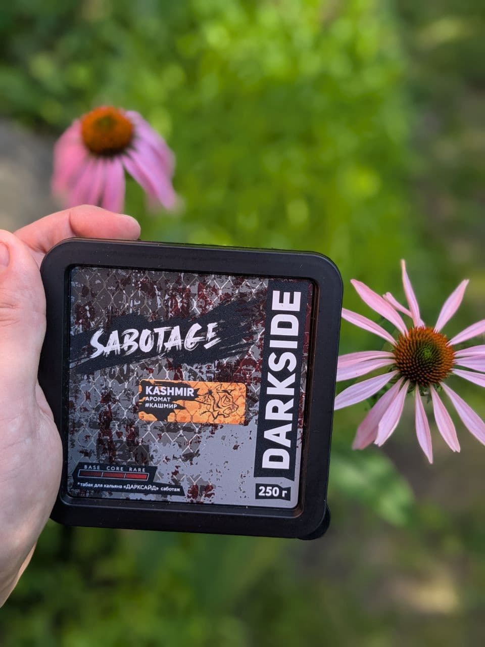 ПРОБУЕМ: KASHMIR в линейке SABOTAGE от DARKSIDE🖤