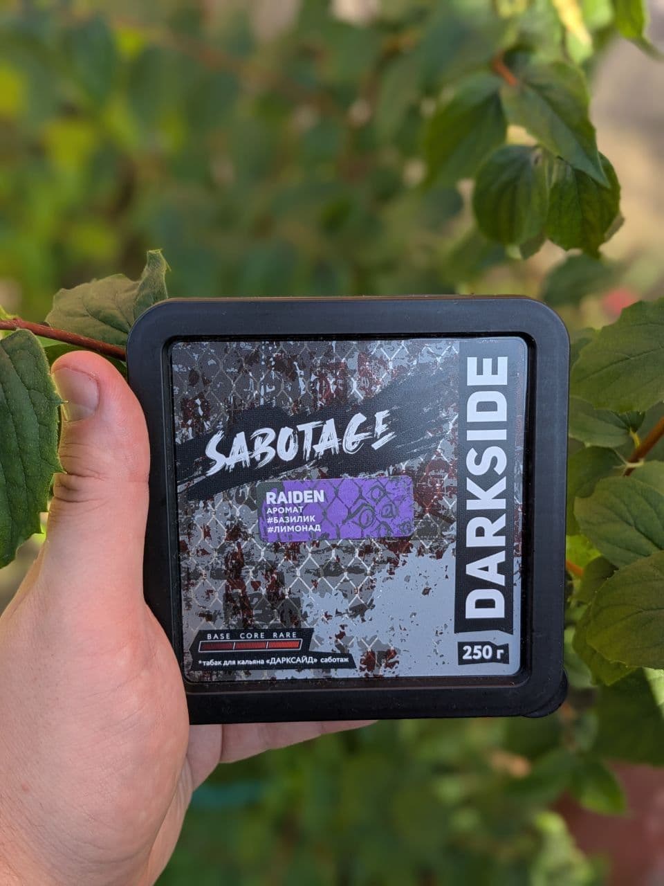ПРОБУЕМ: RAIDEN в линейке SABOTAGE от DARKSIDE🖤