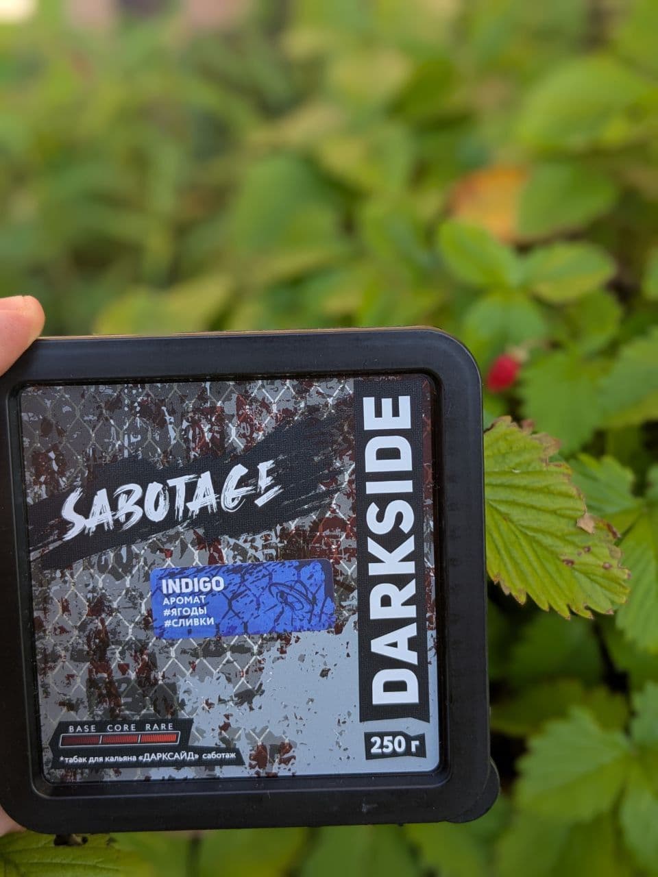 ПРОБУЕМ: INDIGO в линейке SABOTAGE от DARKSIDE🖤