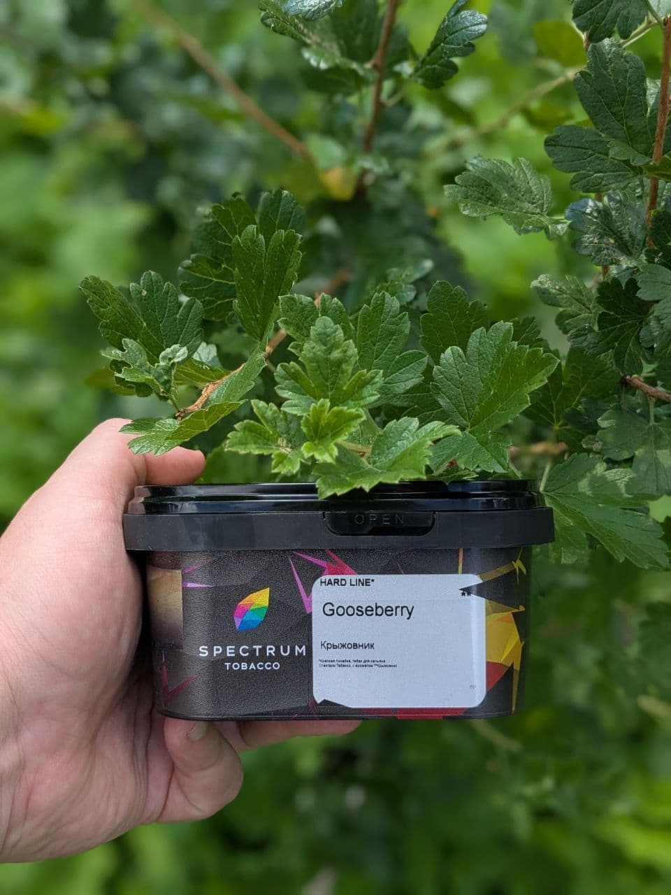 ПРОБУЕМ: GOOSEBERRY от компании SPECTRUM 🔥