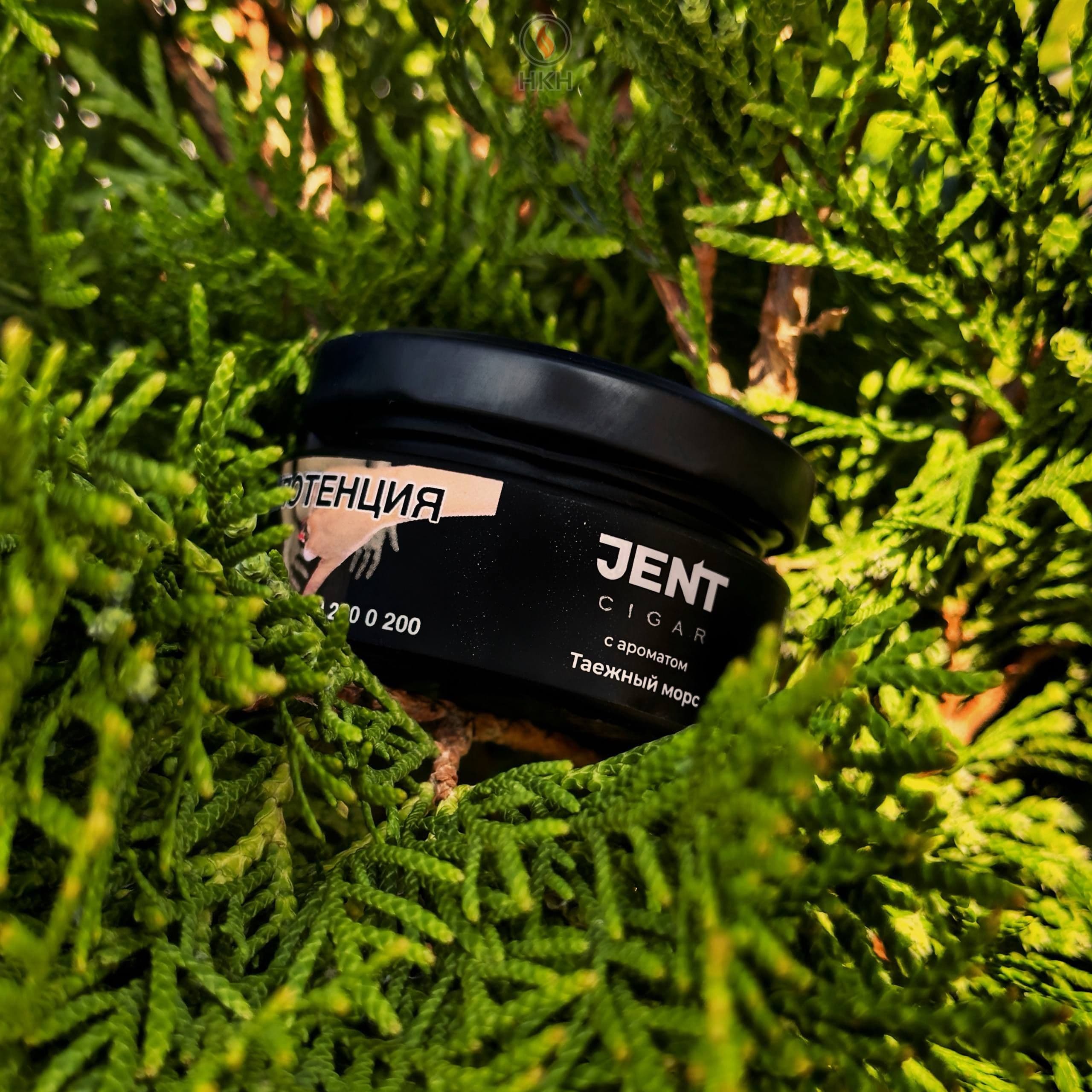 JENT•CIGAR «ТАËЖНЫЙ МОРС»