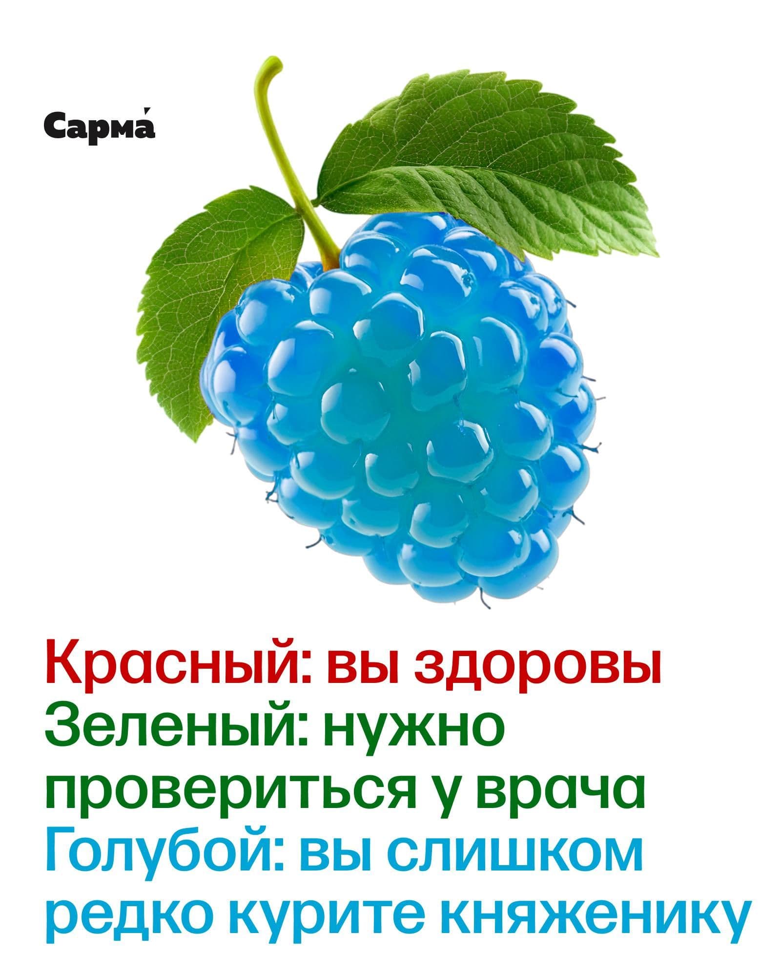 Срочно пройди диагностику по княженике