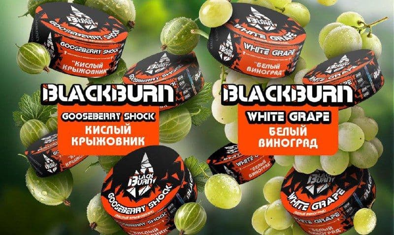 BLACKBURN - новинки
