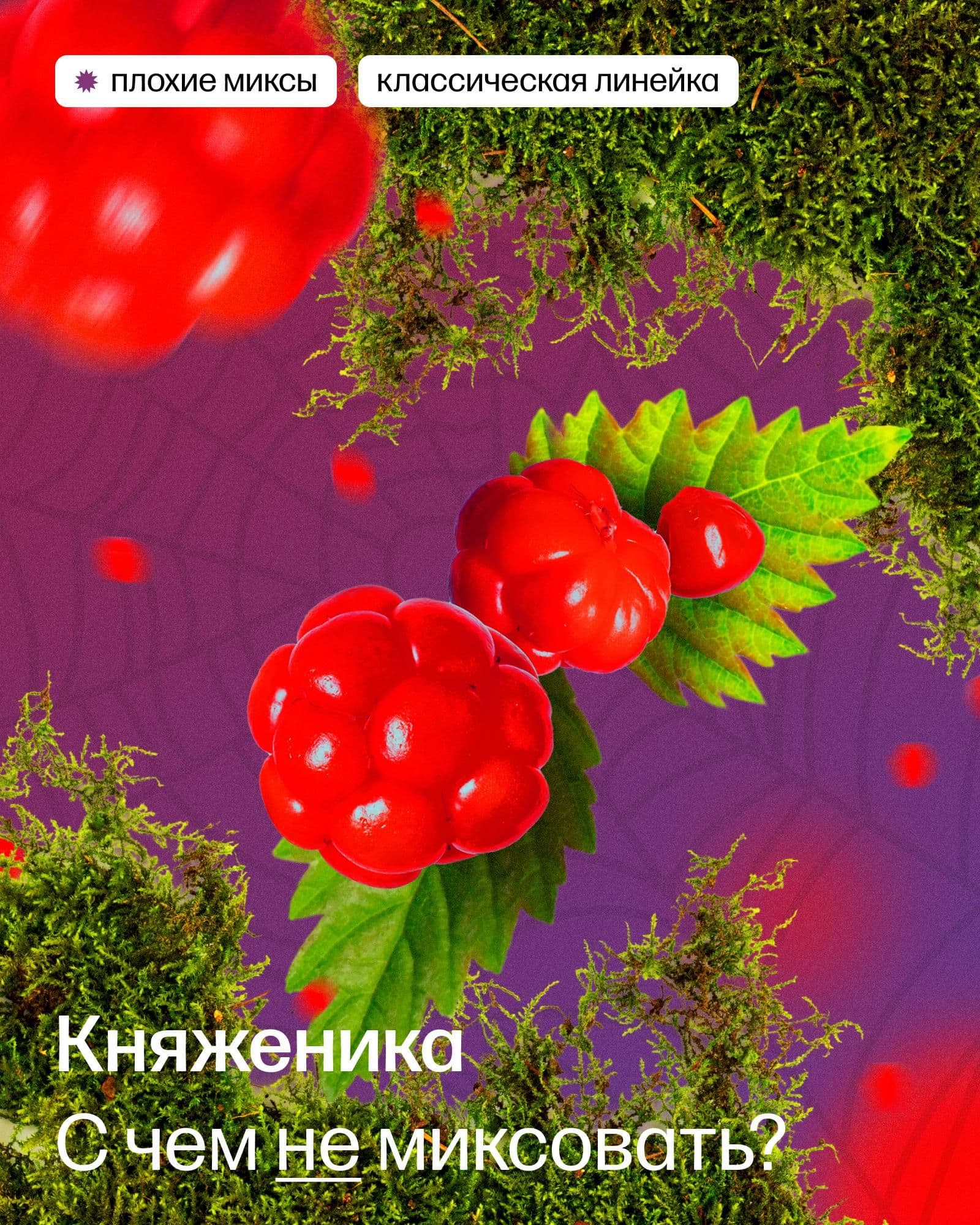 Плохие миксы с княженикой