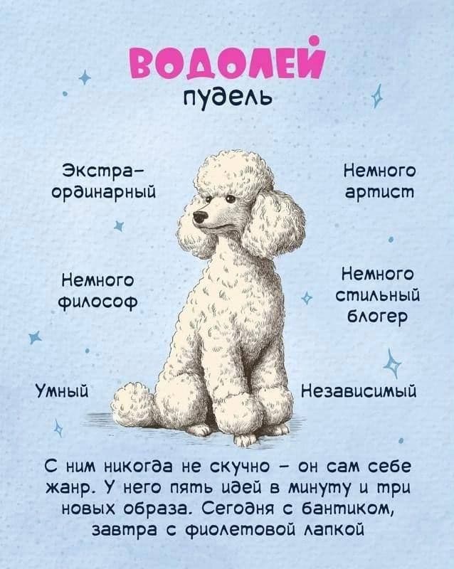 Знаки задатков по собачьи…