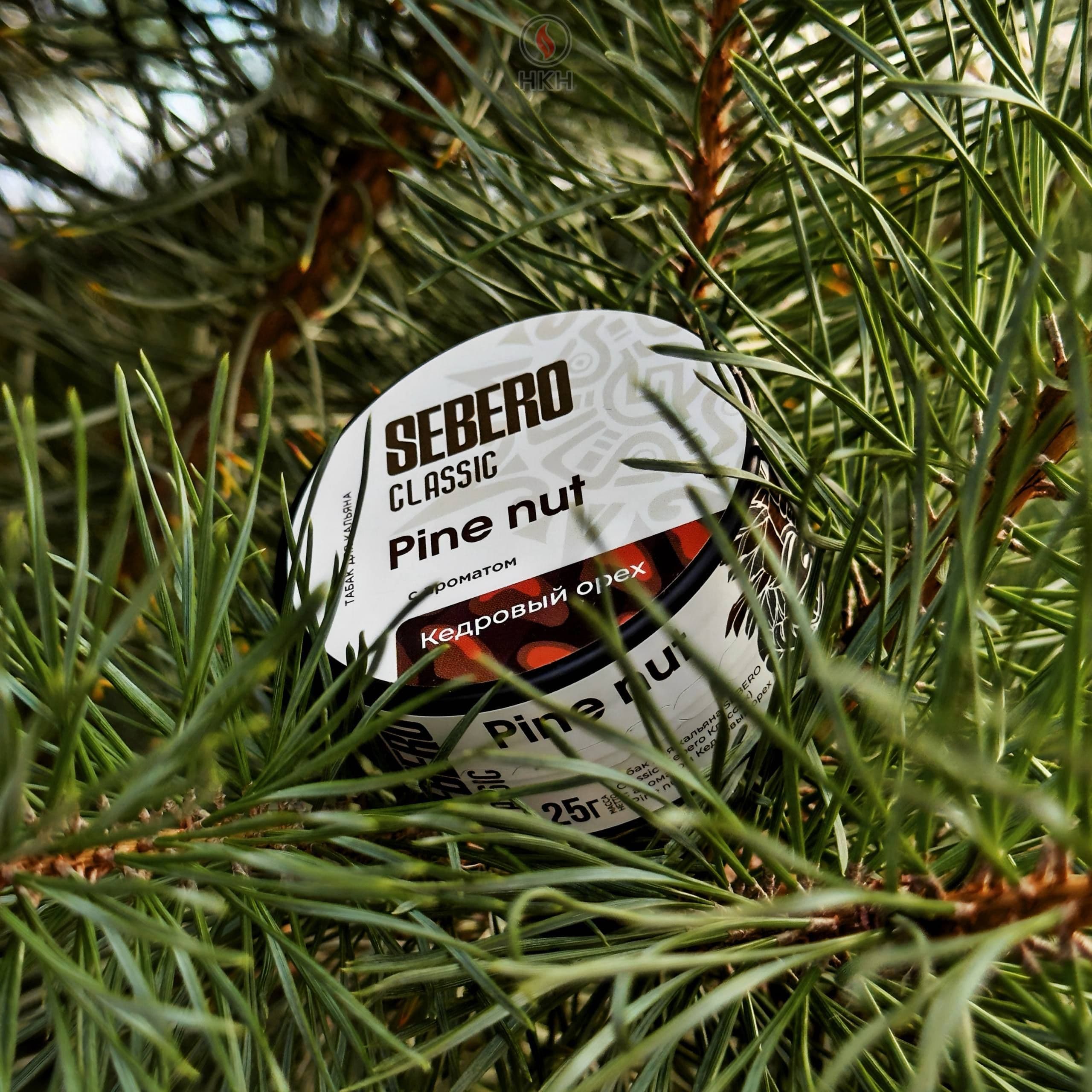 SEBERO «PINE NUT»