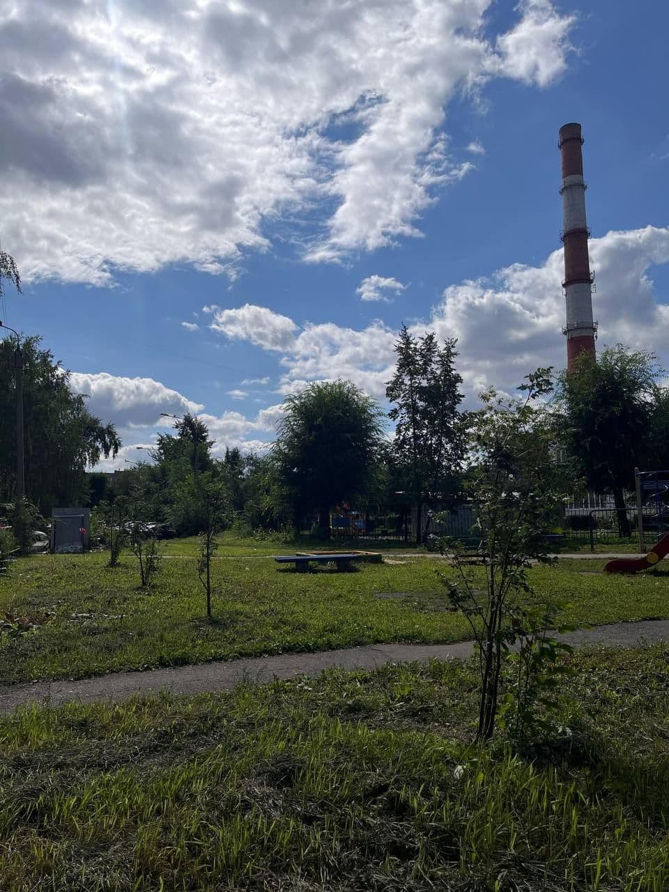 Сегодня я погрузился в лето с головой.