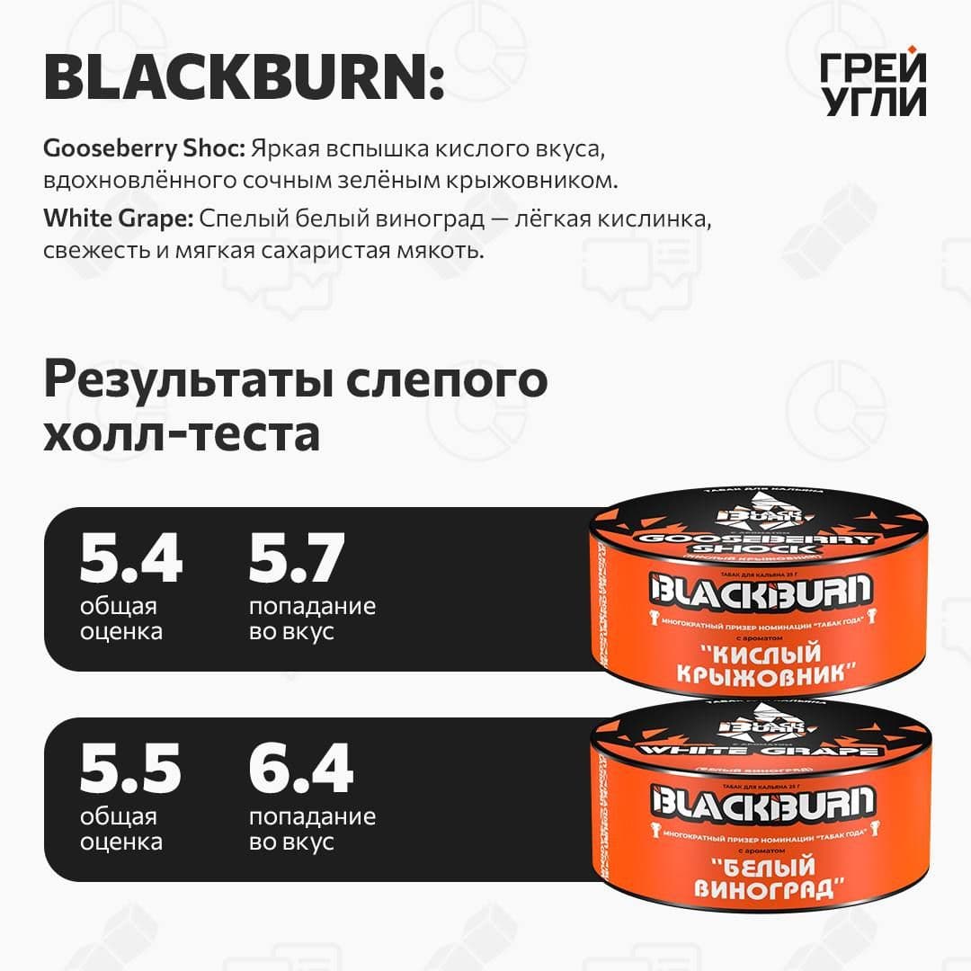 BLACKBURN Gooseberry Shock