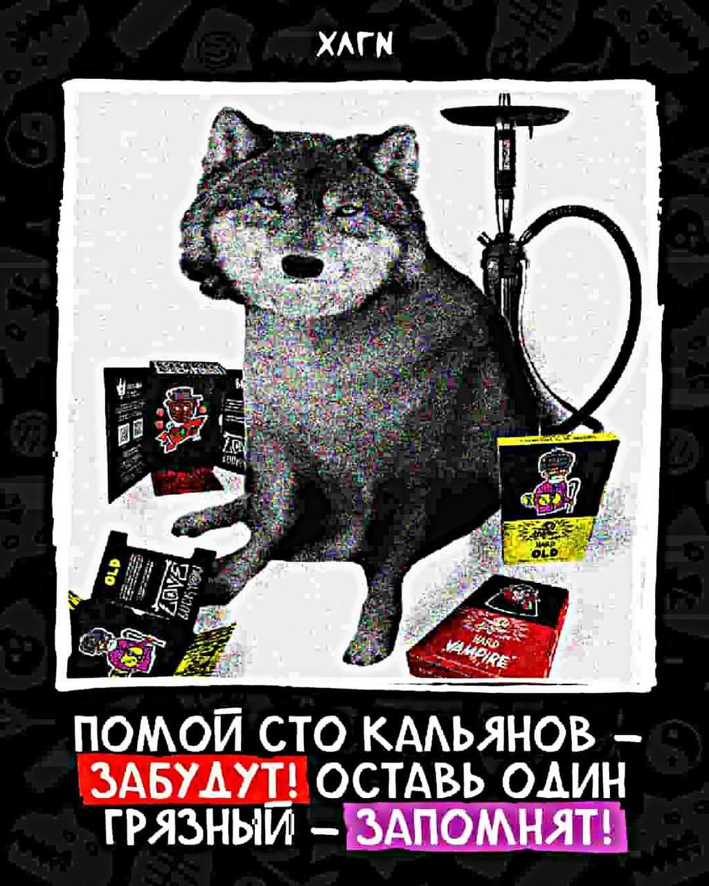 Доброе утро, стая 🐺🐺🐺