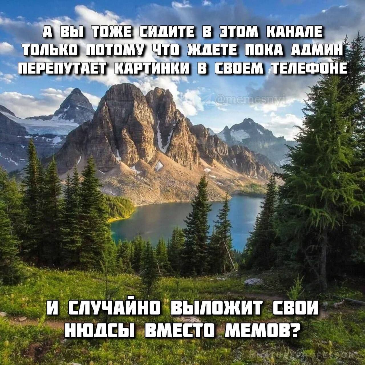 Признавайтесь, это правда? 🤣