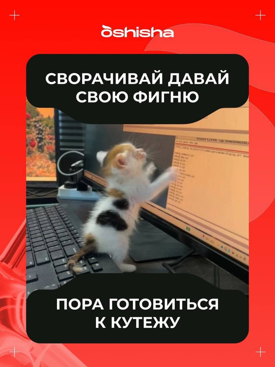Просто пришли пожелать тебе огненных выходных и напомнить, что все самое необходимое