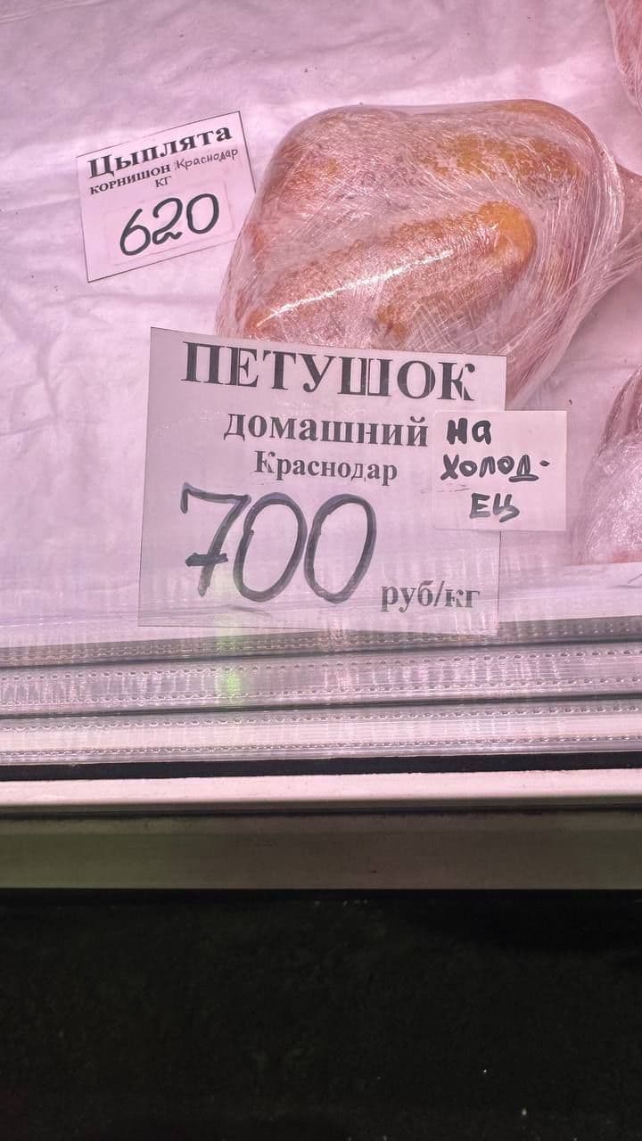 Не блогер, а…